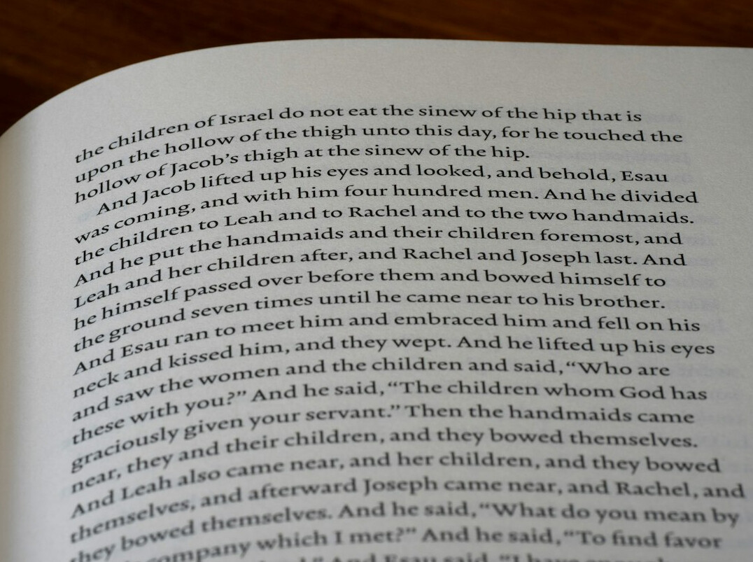 twisted plot book
