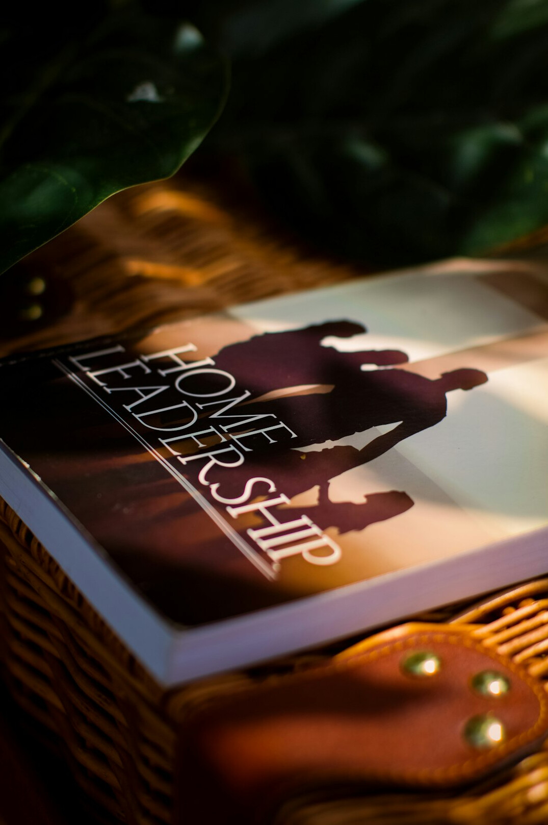 mystery novel cover